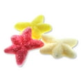 thumbnail image 1 of Tropical Starfish Natural Gummi (2.200 Lbs), 1 of 1
