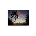 thumbnail image 1 of "Tropical Sunset" Canvas Art by Pierre Leclerc, 1 of 4