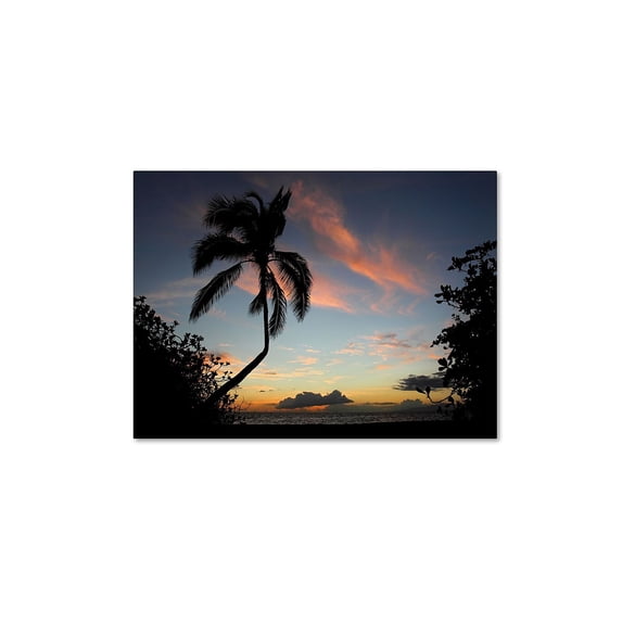 "Tropical Sunset" Canvas Art by Pierre Leclerc