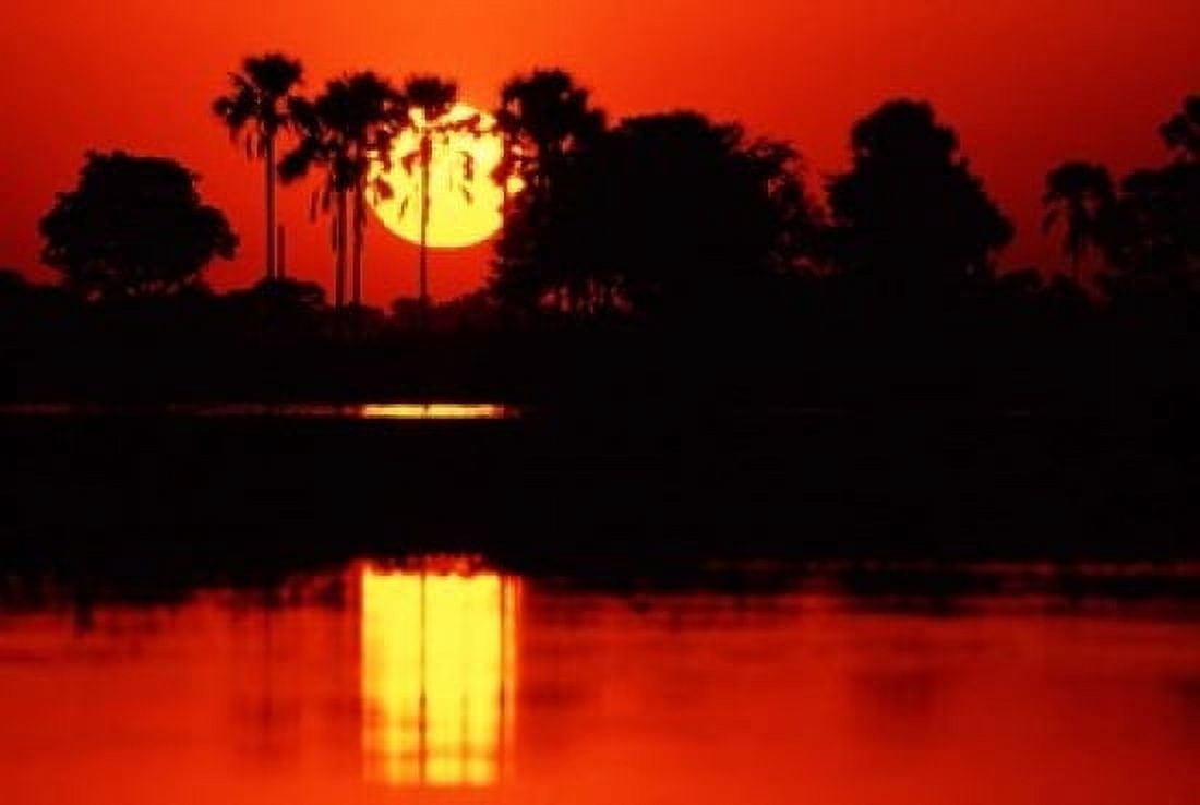 Tropical Sunset in North Central Botswana Canvas Art - Charles Sleicher DanitaDelimont (24 x 15)