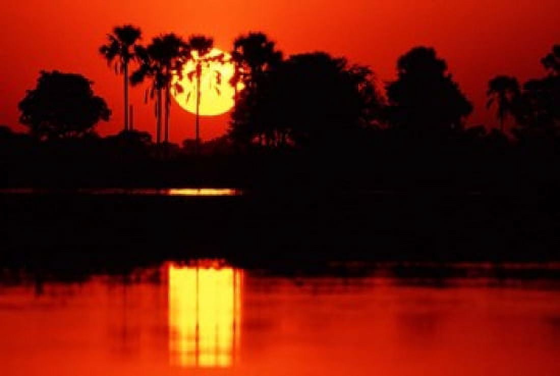 Tropical Sunset in North Central Botswana Canvas Art - Charles Sleicher DanitaDelimont (35 x 24)