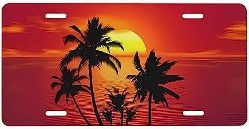 Flying Owl Novelty Front License Plate Cover - 6x12 Inch Aluminum, 4 Hole Mounting, Funny Car Decor Gift