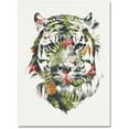 thumbnail image 1 of Tropical Tiger' Canvas Art by Robert Farkas, 1 of 3