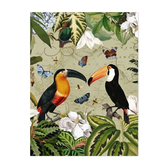 Tropical Toucans And Butterflies in Exotic Jungle - Painting Botanical Bird Tropical Wildlife Butterfly Floral Map Unframed Wall Art Print 22 x 28 inches