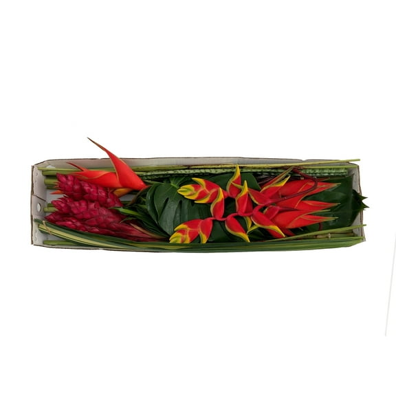 Tropical Vibes Box - Farm Direct Fresh Cut Flowers - 52 Stems