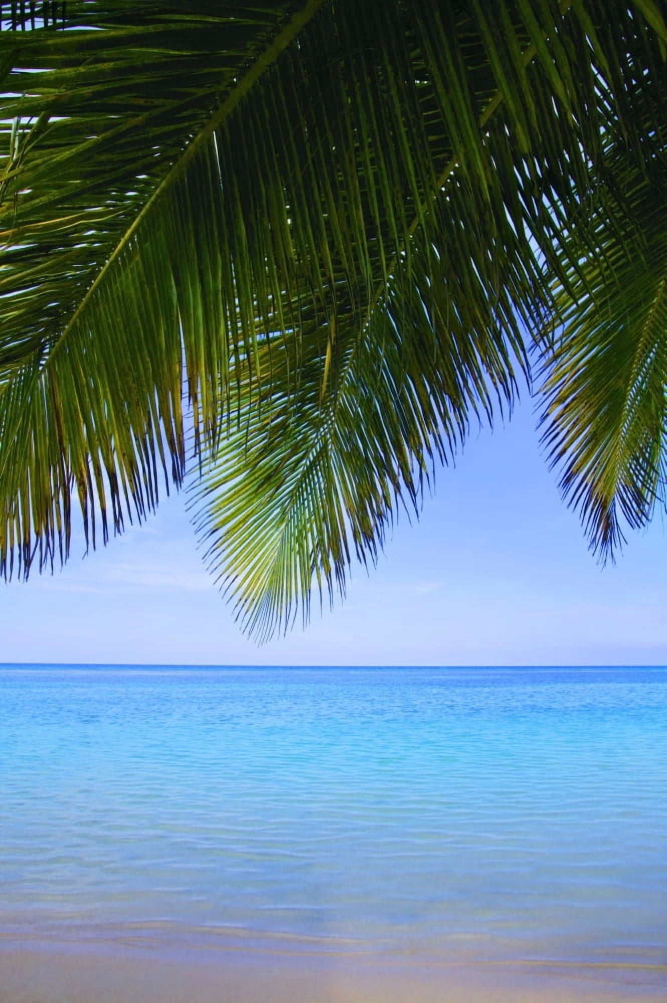Tropical View Canvas Art - Don Hammond Design Pics (22 x 34)