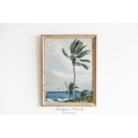 Tropical Vintage, Antique Palm Tree Print, Vintage Moody Ocean Wall Art, Beach Cottage Wall Decor, Home Decor #272, 8x12 UNFRAMED
