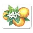 thumbnail image 1 of Tropical Watercolor Drawing of Green Leaves Flowers Fruits Orange Tree Mousepad Mouse Pad Mouse Mat 9x10 inch, 1 of 3