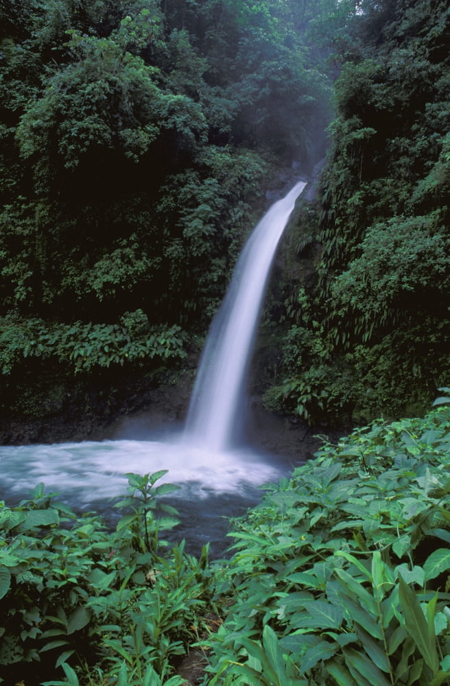 Tropical Waterfall Canvas Art - Carson Ganci Design Pics (11 x 17)