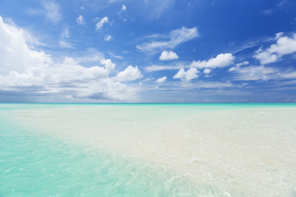 Tropical White Sand Beach and Sea Canvas Art - Design Pics Vibe Design Pics (34 x 22)