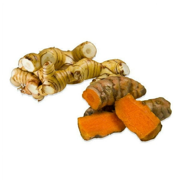Tropical and Edible Garden Rhizome 2-Pack by Greenhouse PCA | 3 Turmeric Rhizomes + 3 Galangal Rhizomes |
