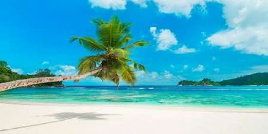 Tropical beach Seychelles Canvas Art - Anonymous (10 x 20)