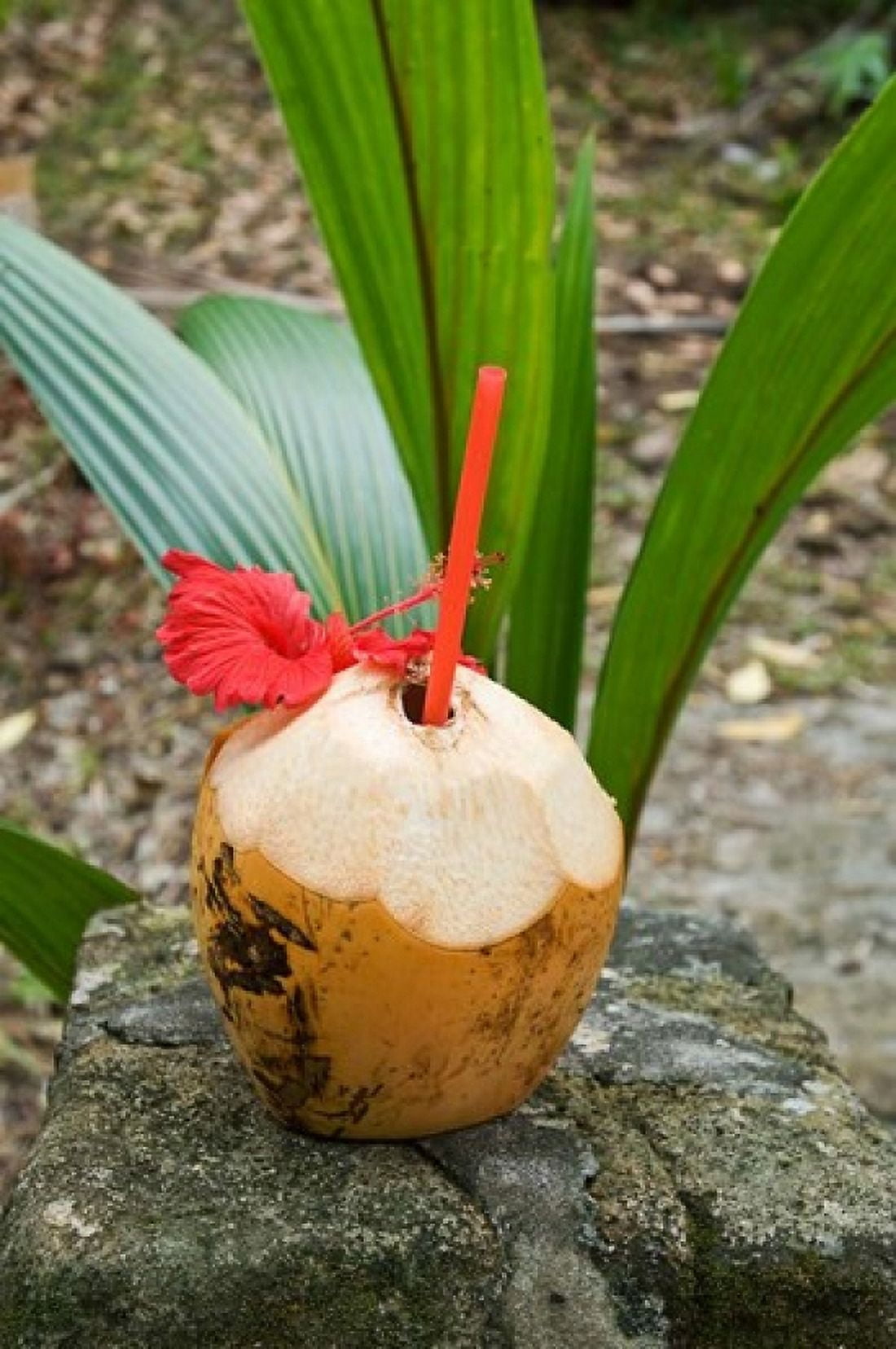 Tropical cocktail drink on Fregate Island Seychelles Canvas Art - Alison Wright DanitaDelimont (23 x 34)