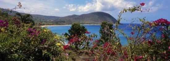 Tropical flowers at the seaside Deshaies Beach Deshaies Guadeloupe Canvas Art - Panoramic Images (36 x 13)