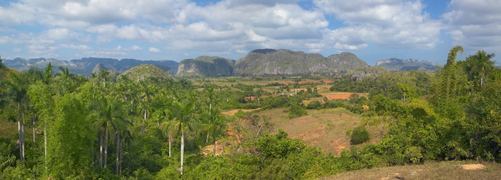 Tropical view of the Valle de Vinales in central Cuba Canvas Art - Panoramic Images (36 x 12)