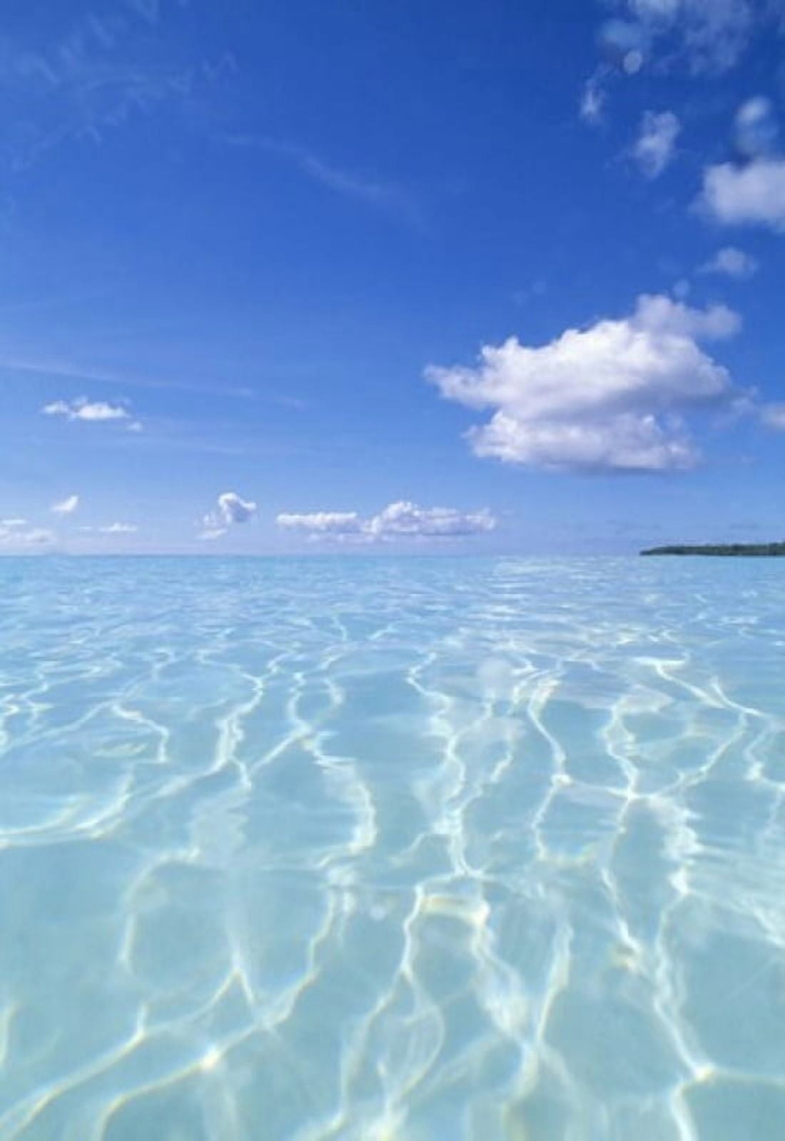 Tropical water with blue skies in background Canvas Art - Panoramic Images (25 x 36)
