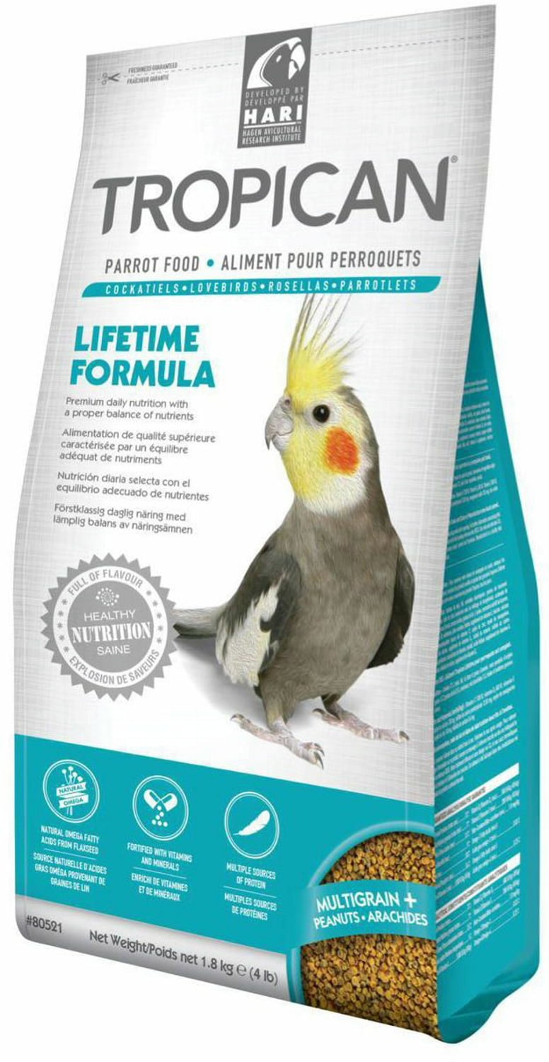 White parrot cheap food