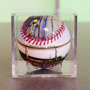 Tropicana Field Baseball