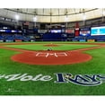 thumbnail image 1 of Tampa Bay Rays Unsigned Behind Home Plate General View Photograph, 1 of 1