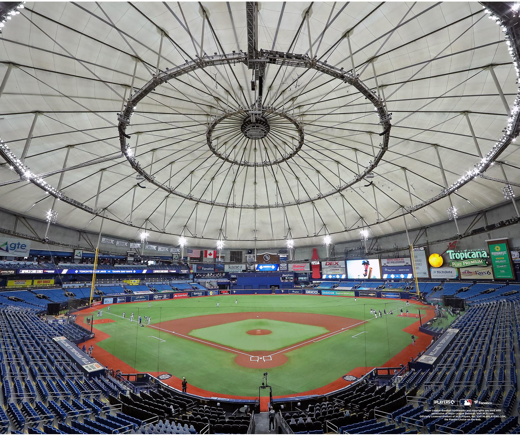  Tropicana Field Tampa Bay Rays Unsigned General View Photograph 