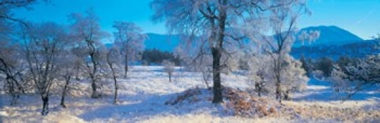 Trossachs National Park Scotland United Kingdom Canvas Art - Panoramic Images (36 x 12)