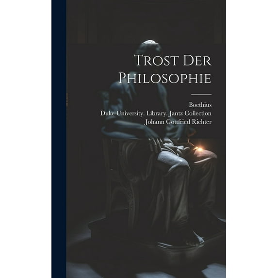 Trost Der Philosophie (Hardcover)