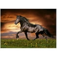 thumbnail image 1 of Trotting Horse, 1 of 1