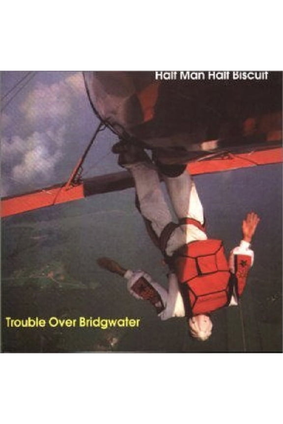 Trouble Over Bridgwater