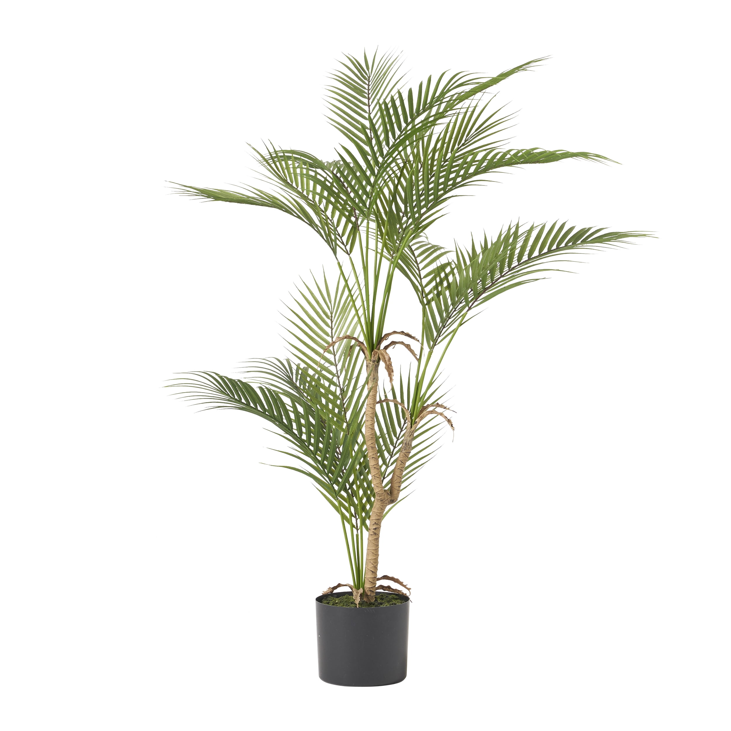 Troup 3' x 2.5' Artificial Tabletop Palm Tree, Green