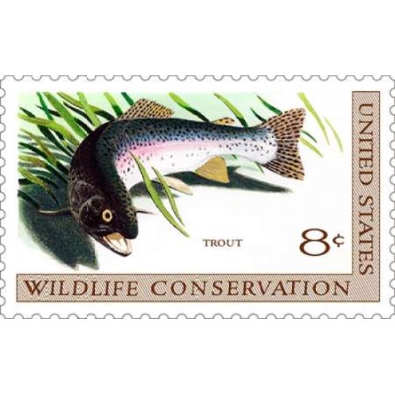 Trout Canvas Art - US POSTAL SERVICE (24 x 36)