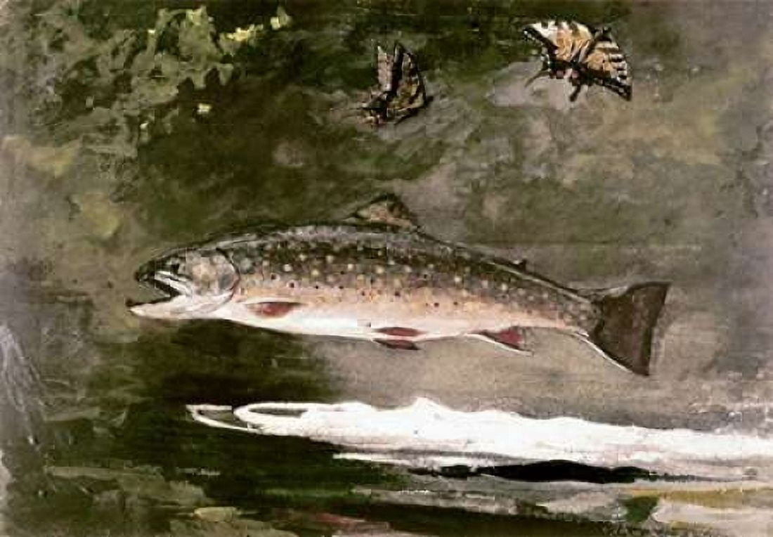 Trout Canvas Art - Winslow Homer (20 x 28)