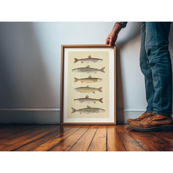 Trout Fish Print Retro Outdoors Art Lake Fishing Poster Cabin Wall Decor, Unframed Paper Poster 24x36in