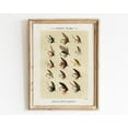 thumbnail image 1 of Trout Fishing Flies Wall Art, Trout Fish Wall Decor, Vintage Cabin Art Print, Fishing Lure Poster, Fisherman , Dad Home Decor #1414, Stretched Canvas Size 12x18, 1 of 4