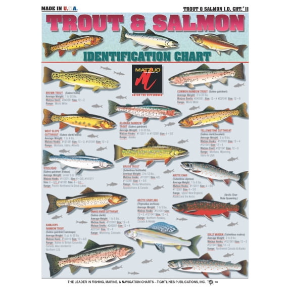 Trout and Salmon Identification #11 - Waterproof Quick Reference Guide | Portable & Built to Last | Double-Sided & Easy to Read | (Size, Weight, Location, Food Quality, and Coloring)