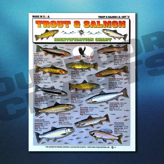 Trout and Salmon Identification Chart #11