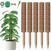 Moss Pole Plants for Climbing Support