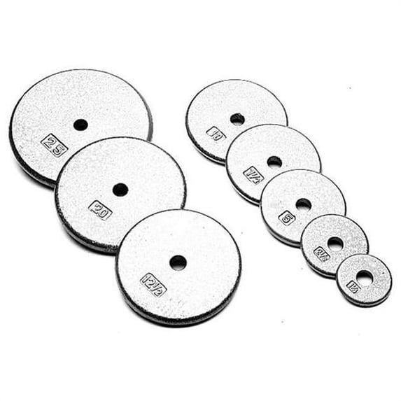 Troy Barbell R-002 Regular Weight Plate - Gray - 2.5 Pounds