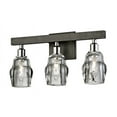 thumbnail image 1 of Troy Lighting Citizen 3-LT Wall Bath - Graphite And Polished Nickel - B6003, 1 of 2
