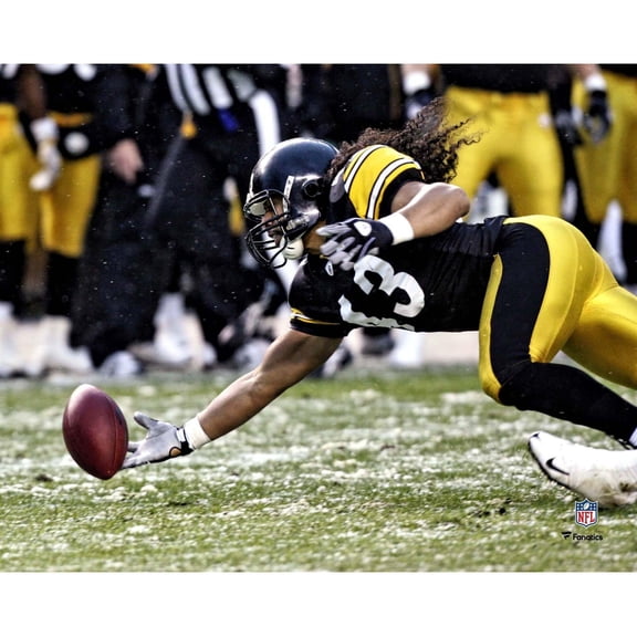 Troy Polamalu Pittsburgh Steelers Fanatics Authentic Unsigned Recovering Fumble Photograph