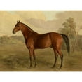 thumbnail image 1 of Troye Kentucky Woodpecker 1834 Brown Horse Painting Extra Large XL Wall Art Poster Print, 1 of 3