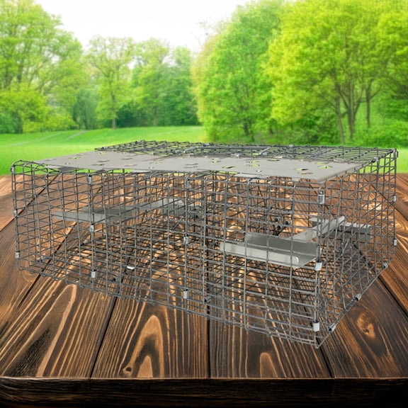 Troyer's Wire Sparrow Trap