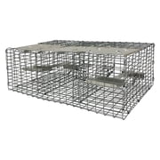 Troyers Birds Paradise Wire Sparrow Trap