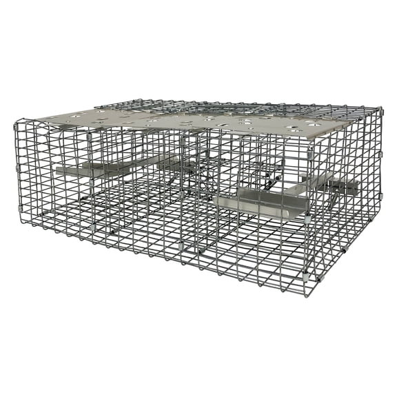Troyer's Birds' Paradise Wire Sparrow Trap