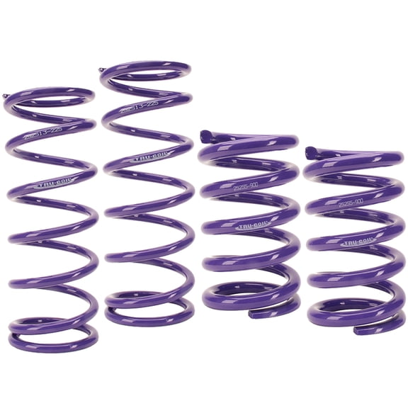 Tru-Coil Racing Springs Sport Mod Kit, 5.5x9 / 5x13, 175-750lb