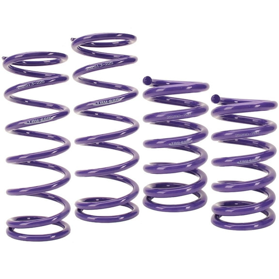 Tru-Coil Racing Springs Sport Mod Kit, 5x9.5 / 5x13, 175-650lb