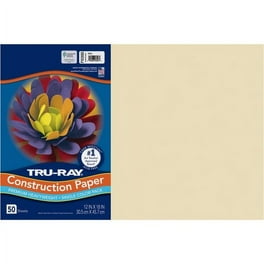 Tru-Ray Construction Paper - Art Project - 12