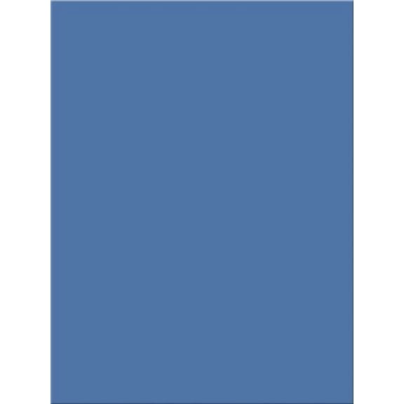 Tru-Ray Construction Paper - 24"Width X 18"Length - Blue