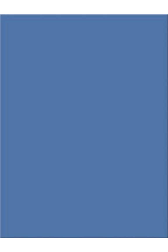 Tru-Ray Construction Paper - 24"Width X 18"Length - Blue