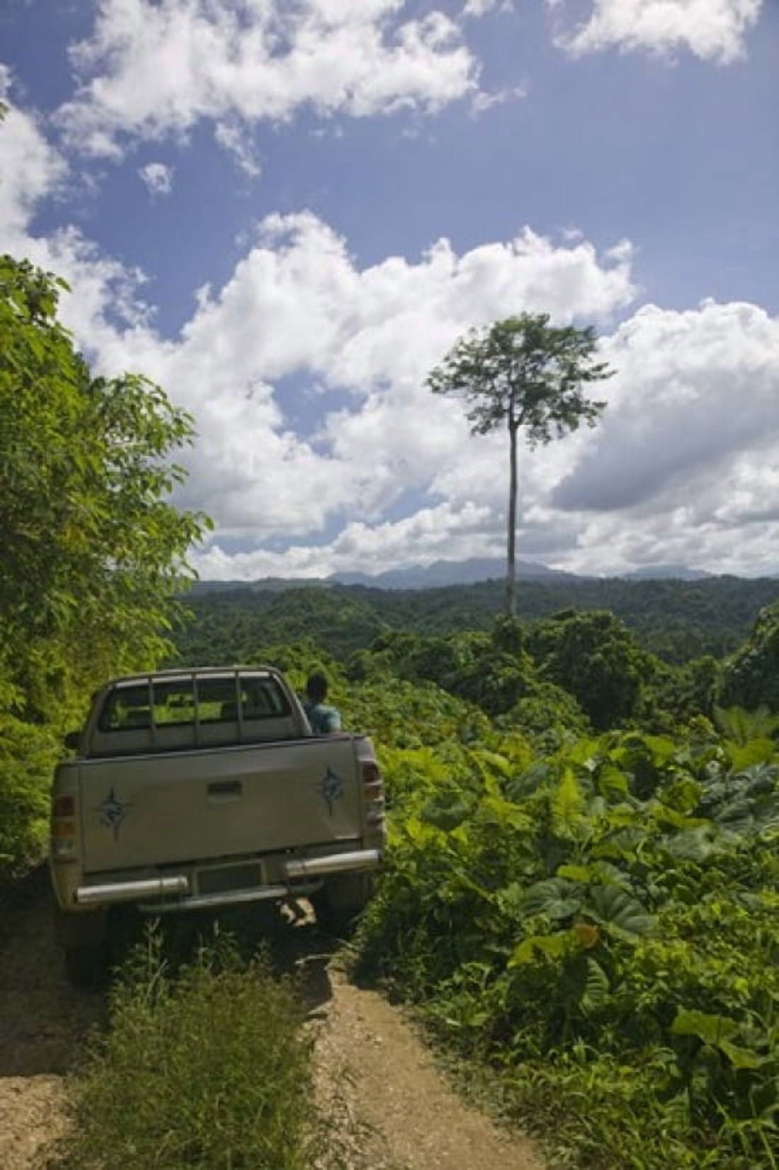 Truck a dirt road Malao Big Bay Highway Espiritu Santo Vanuatu Canvas Art - Panoramic Images (36 x 24)