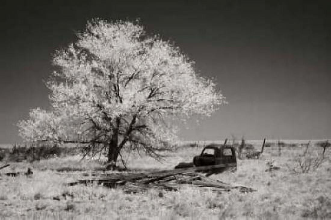Truck and Tree Canvas Art - George Johnson (20 x 28)